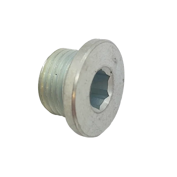 Magnet plug