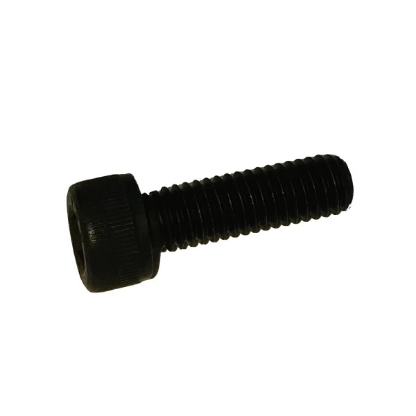 Screw M6x100 L20