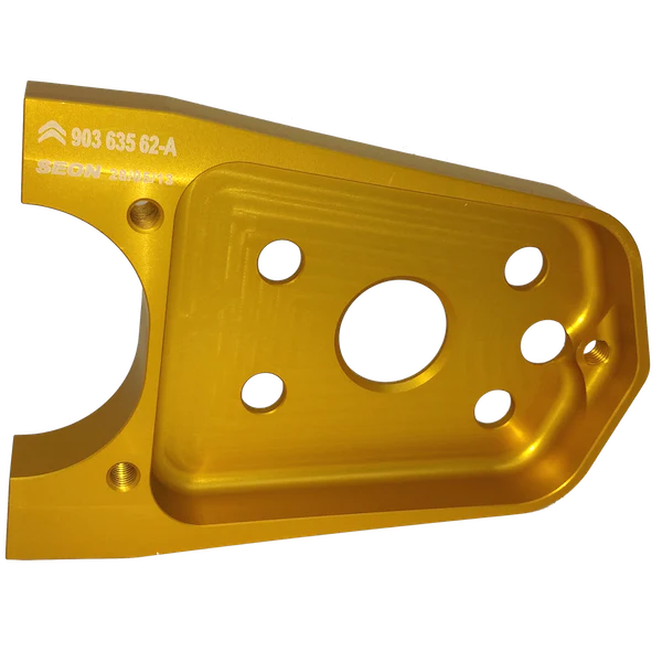 Rear Brake Caliper Mount