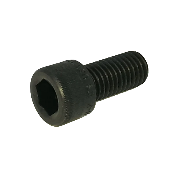 Screw M12x125