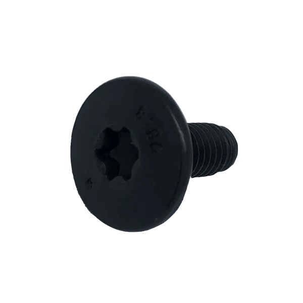 Screw M6x100 L15